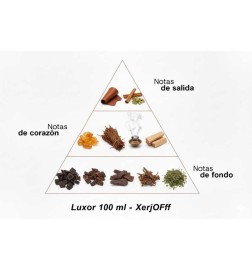 Luxor - Xerjoff Free advice and shipments!