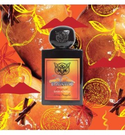 Vésuviuur - Lorenzo Pazzaglia Conseils gratuits et envois!