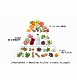 Green Island - Lorenzo Pazzaglia Free advice and shipments!