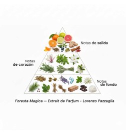 Magic forest - Lorenzo PazzagliaFree advice and shipments!