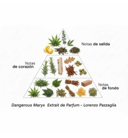 Dangerous Maryx Extrait of Parfum 50 ml - Lorenzo Pazzaglia