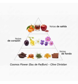 VII Cosmos Flower 50 ml - Clive Christian Free advice and shipments!