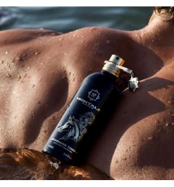 Arabians Tonka - Montale Paris | Perfumery Laura - Free Shipping