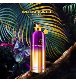 Sensual Instinct - Montale Paris | Perfumery Laura - Free Shipping