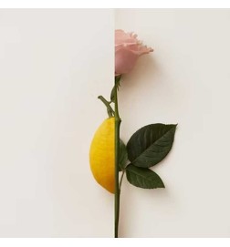 Rosa Limone Extrait of Parfum 50 ml - New Notes