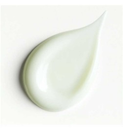 Protector Soin Apaisant 50 ml - Stendhal