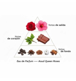 Aoud Queen Roses - Montale Paris Free advice and shipments!