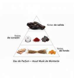 Aoud Musk - Montale Paris Free advice and shipments!