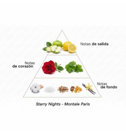 Intense Starry Nights 100 ml - Montale Paris ¡Asesoría y Envíos Gratis!
