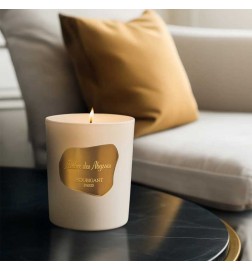 Ambre des ABRYSSES BOUGIE 195 G - Houbigant Paris