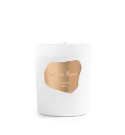 Ambre des Abysses candle 195 g - Houbigant Paris