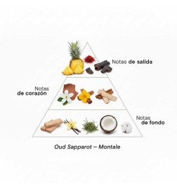 Oud Sapparot 100 ml - Montale Paris Free advice and shipments!