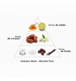 Arabians Musk - Montale Paris ¡Asesoría y Envíos Gratis!