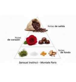 Sensual Instinct - Montale Paris | Perfumery Laura - Free Shipping