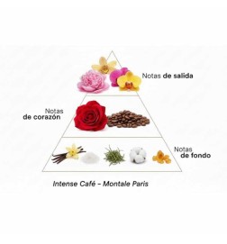 Café intense - Montale Paris | Parfumerie Laura - Livraison Gratuite