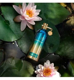 Herbal Aquatica 100ml - Montale Paris