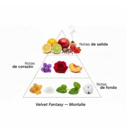 Velvet Fantasy - Montale Paris ¡Asesoría y Envíos Gratis!