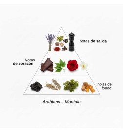 Arabiens - Montale Paris | Parfumerie Laura - Livraison Gratuite