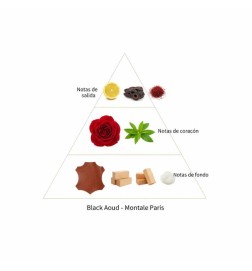 Black Aoud - Montale Paris | Parfumerie Laura - Livraison Gratuite