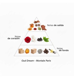 Oud Dream - Montale Paris Free advice and shipments!