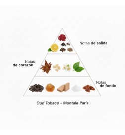 Tabac Oud - Montale Paris Conseils gratuits et envois!
