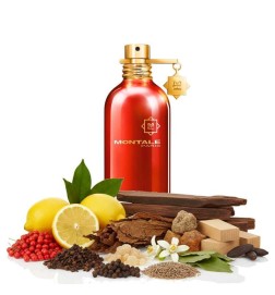 Tabac Oud - Montale Paris Conseils gratuits et envois!