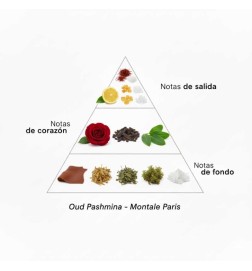 Oud Pashmina - Montale Paris Free advice and shipments!