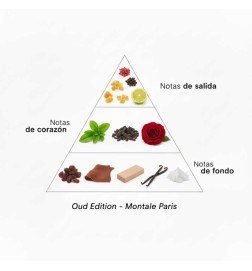 Édition Oud - Montale Paris | Parfumerie Laura - Livraison Gratuite
