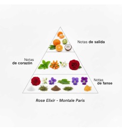 Élixir Rose - Montale Paris Conseils gratuits et envois!