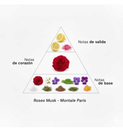 Roses Musk - Montale Paris | Parfumerie Laura - Livraison Gratuite