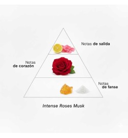 Roses intense Musk - Montale Paris