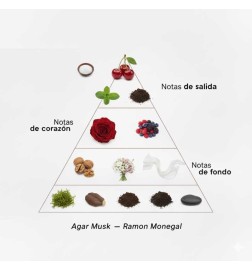 Agar Musk EDP - Ramon Monegal Free shipping!