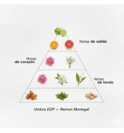 Umbra EDP - Ramon Monegal ¡Envíos Gratis!
