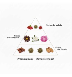 Flowerpower Ibiza EDP 100 ml - Ramon Monegal