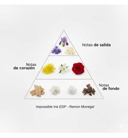 IRIS IRIS EDP - Ramon Monegal Free shipping!