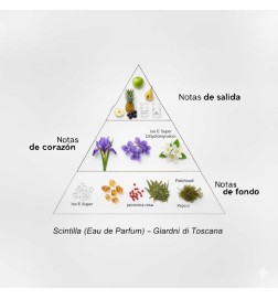 Scintilla - Giardini di Toscana Free shipping!