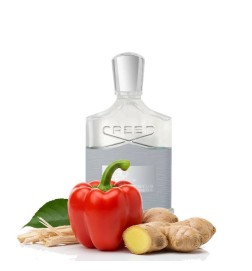 Aventus Cologne - Creed Conseils gratuits et envois!