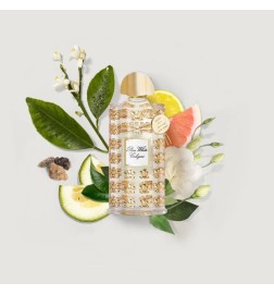 Pure White Cologne - Creed ¡Asesoría y Envíos Gratis!