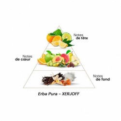Erba Pura – XERJOFF : notes de tête, de cœur et de fond